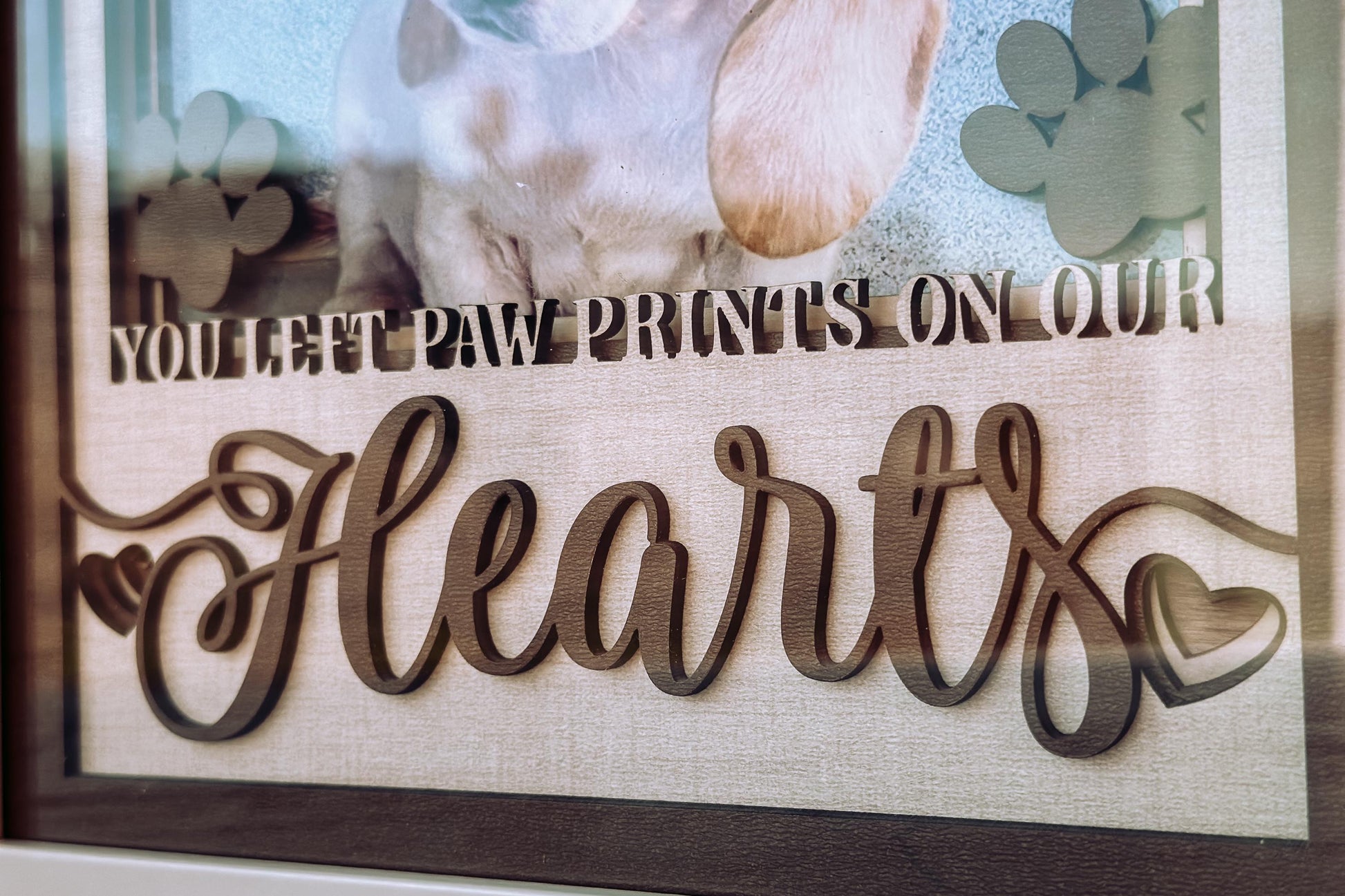 You Left Paw Prints On Our Hearts Memorial Layered SVG, Shadow Box SVG with Glass, Memorial Keepsake, Sympathy Gift, Pet Memorial SVG