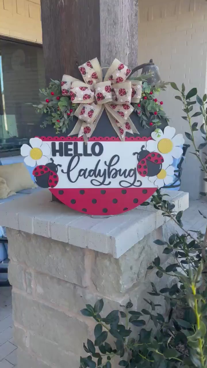 Hello Ladybug SVG, Ladybug Door Hanger Laser File, Spring Porch Decor, Layered Ladybug Sign Design, Glowforge Template, DIY Bug Decor