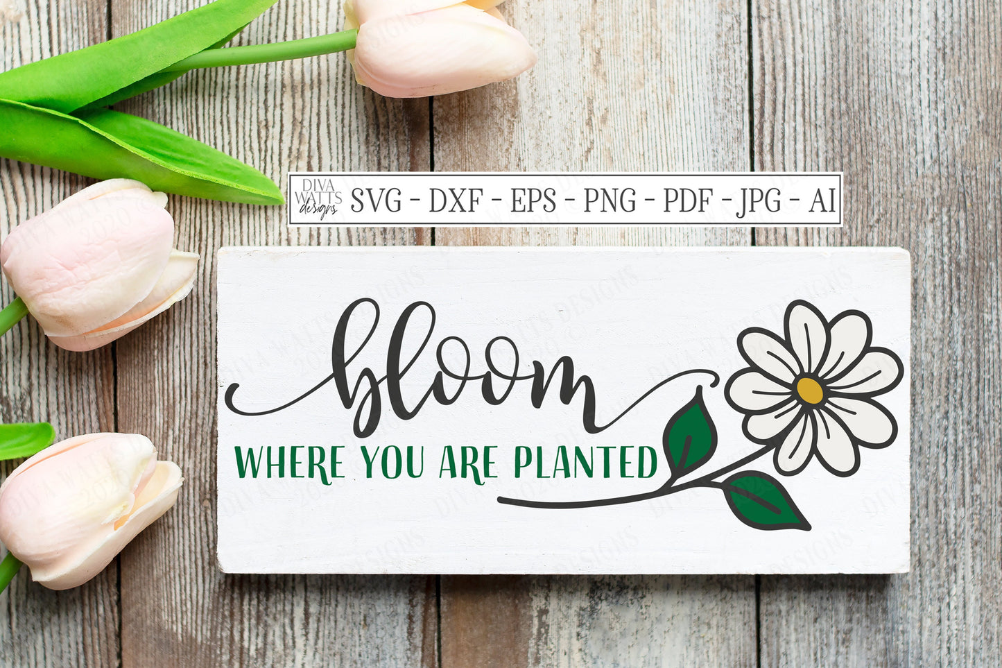 SVG | Bloom Where You Are Planted | Cutting File | Spring Summer | Farmhouse Rustic Sign Tote Shirt | dxf eps | Daisy | Vinyl Stencil HTV